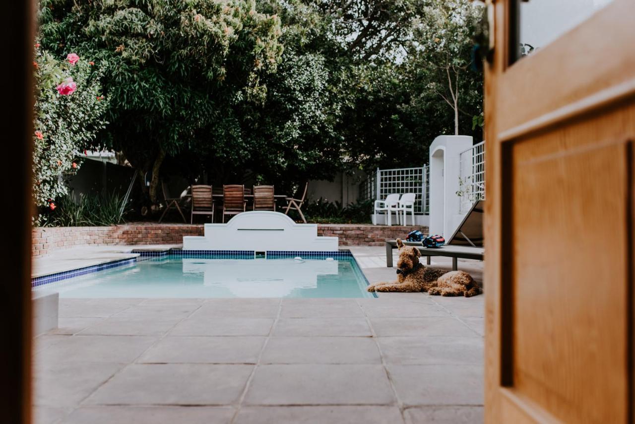 The Victorian Goose (Adults Only) Bed and Breakfast Κέιπ Τάουν Εξωτερικό φωτογραφία